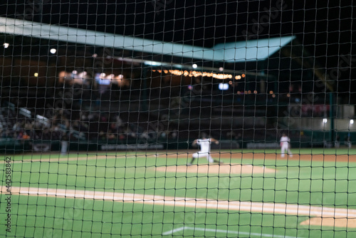 Canvas Print Selective focus on baseball foul ball safety netting.