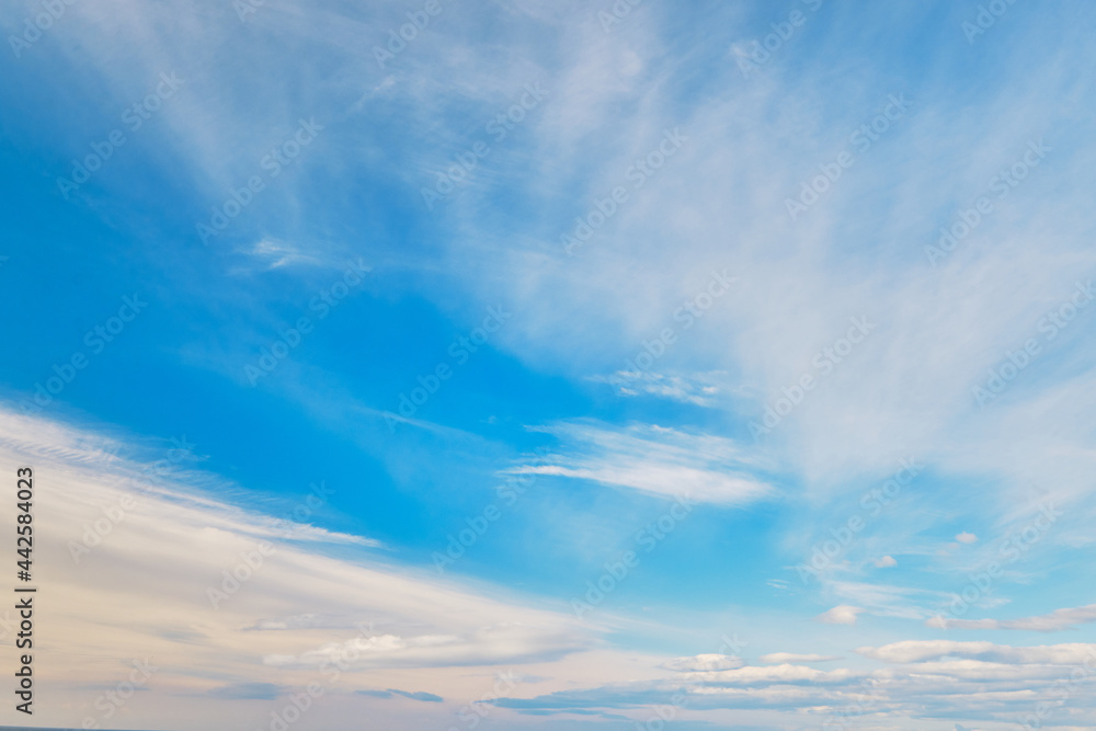 Fototapeta premium sky background during sunrise with clear clouds