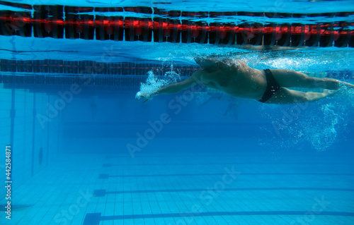 Swimmer in the swimming pool