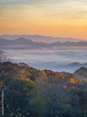 Mountain layers with fall foliage