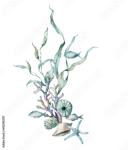 Photography Watercolor tropical card of fishes, starfish, laminaria and corals