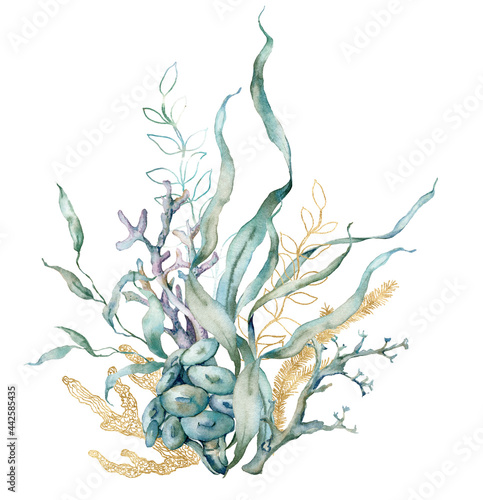 Photography Watercolor tropical card of linear laminaria and gold corals