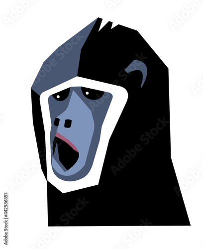 Monkey head