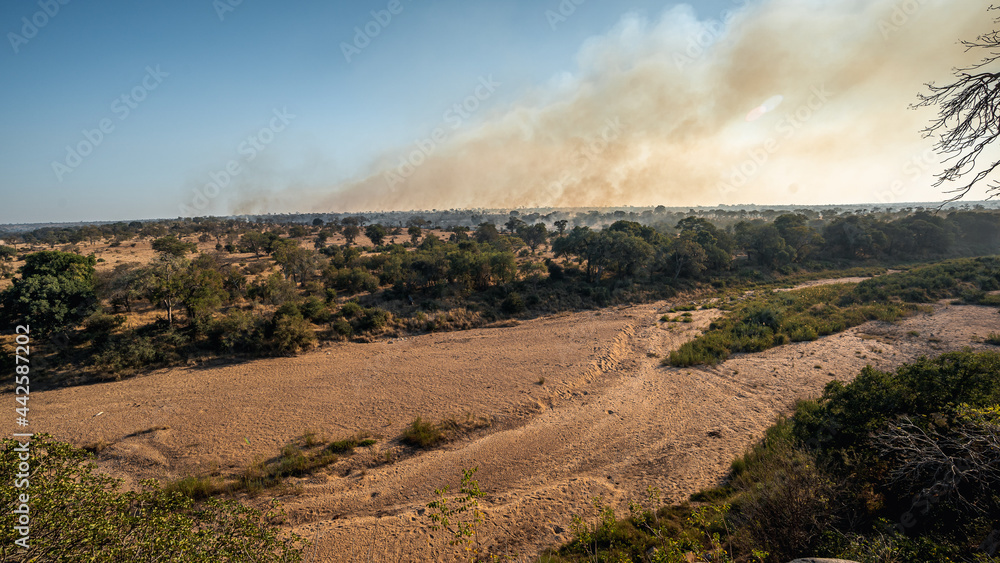 Fototapeta premium River
