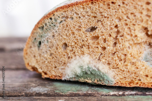 A slice of bread covered with mold on a wooden surface