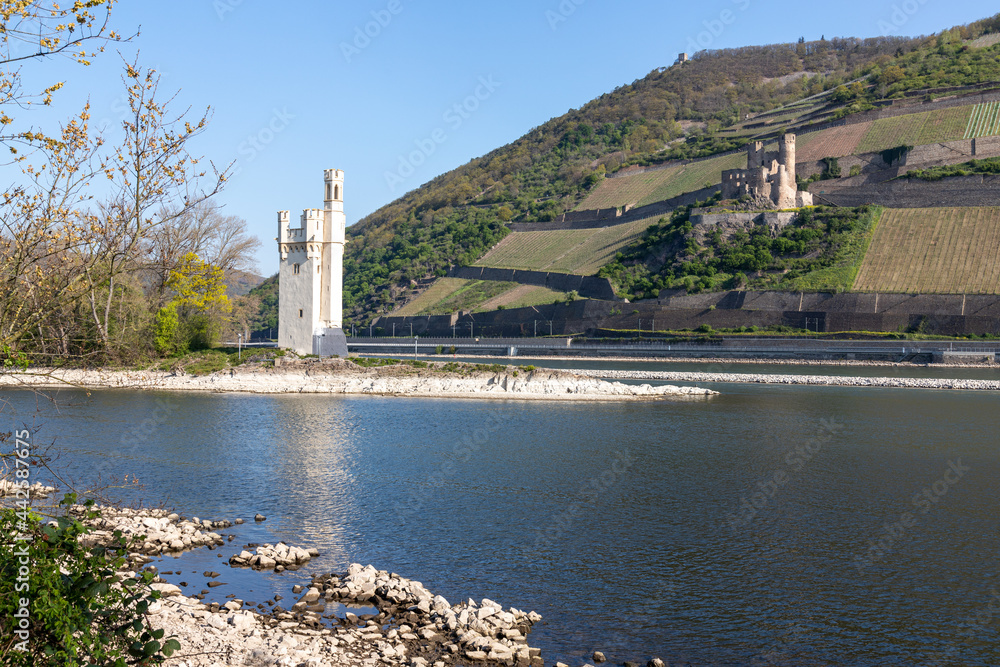 View of Binger Mouse Tower on the Rhine with castle ruin