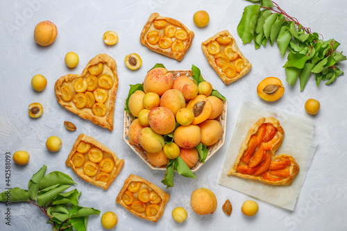 Fototapeta Naklejka Na Ścianę i Meble -  Delicious homemade galette with ripe apricots.