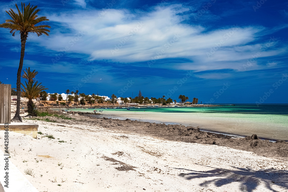 A beautiful view of the Mediterranean coast with birch water, a beach with white sand and a green palm tree.