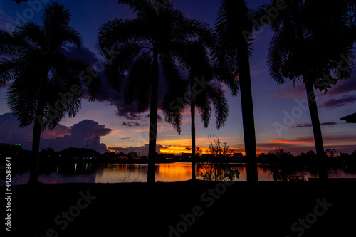 Silhouette of plam trees facing a lake park on beautiful sunrise
