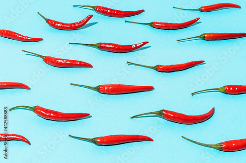 pattern of red chili peppers on a blue background. mexican food.