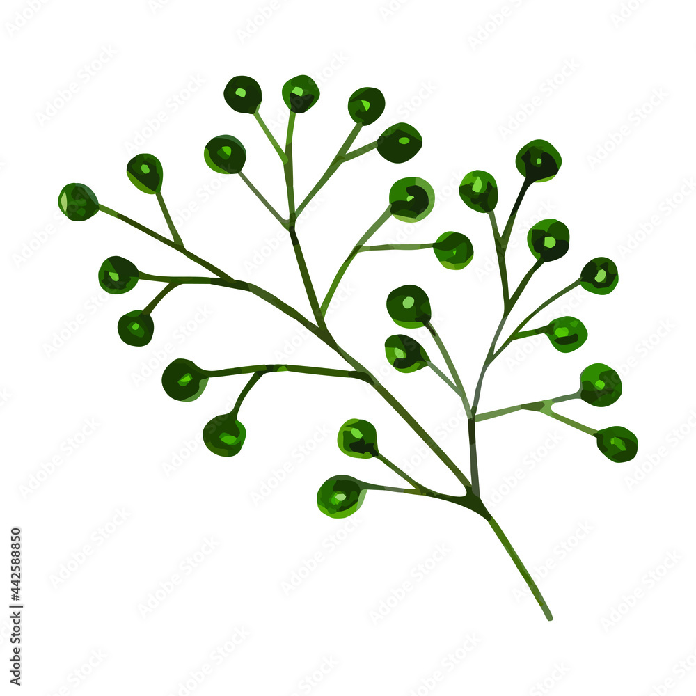 Watercolor photo. Botanical clipart. A set of green leaves, herbs and twigs. Floral design elements. Wedding invitations, greeting cards, blogs, posters, etc. Perfect for Watercolor photo. Botanical clipart. A set of green leaves, herbs and twigs. Floral design elements. Wedding invitations, greeting cards, blogs, posters, etc. Perfect for