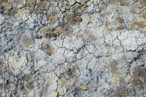 Dried gray brown clay surface covered with cracks. A bright, sunny day. Top view, textured, background.