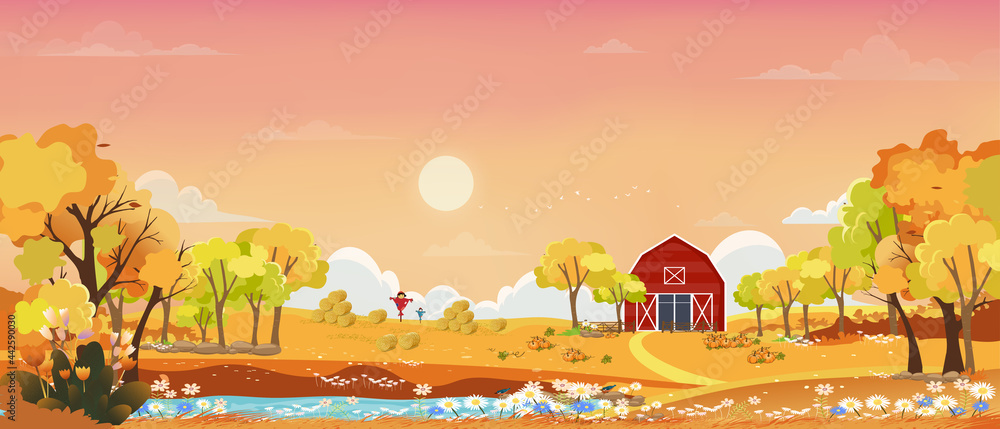 Autumn landscape wonderland forest with grassland, Mid autumn landscape with maples orange foliage trees and leaves falling in, Fall season with beautiful panoramic view of sunset with pink,orange sky