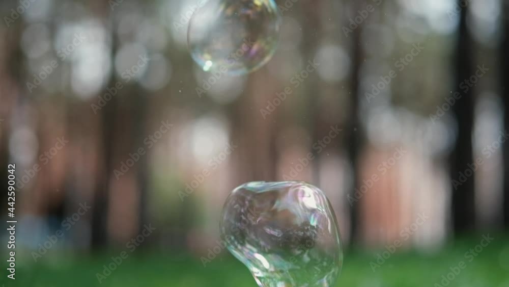 soap bubbles fly on a blurred background of a forest or park. summer. extra slow motion. soap bubbles fly on a blurred background of a forest or park. summer. extra slow motion.