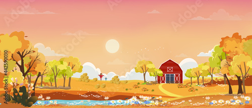 Autumn landscape wonderland forest with grassland, Mid autumn landscape with maples orange foliage trees and leaves falling in, Fall season with beautiful panoramic view of sunset with pink,orange sky