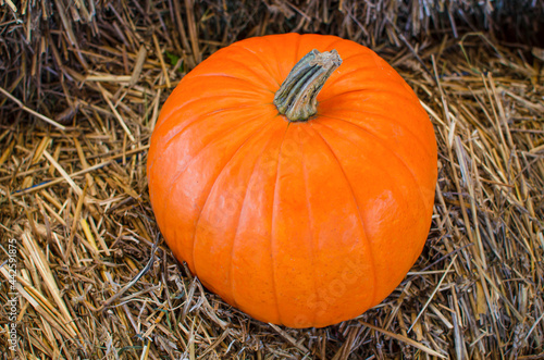 Halloween pumpkin. Pumpkin on a background of hay in a rustic style. Background for Halloween. Place for text © SERSOLL