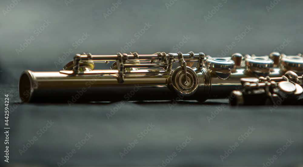 Fototapeta premium Musical wind instrument brass flute. Close-up. High quality photo