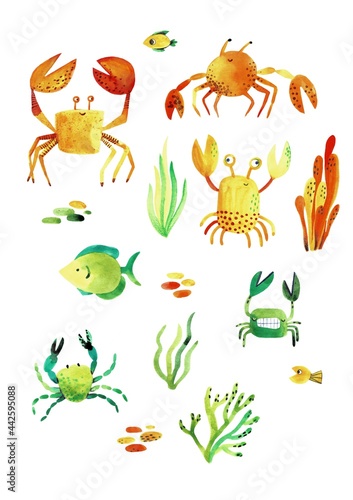 Watercolor set of cartoon crabs and seaweed on a white background.