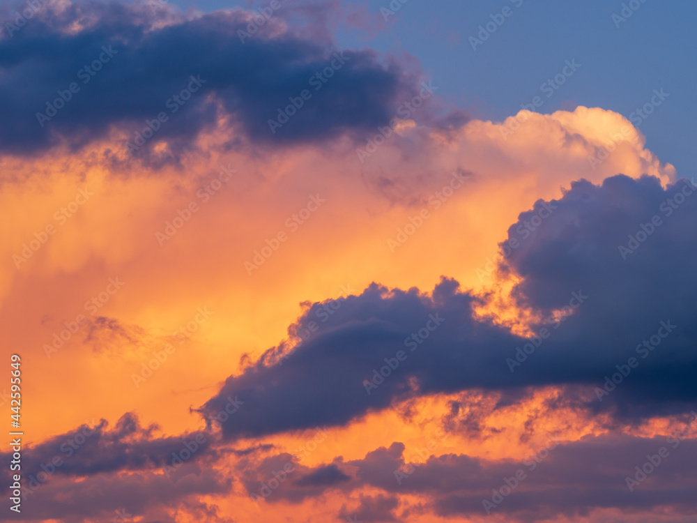 Fototapeta premium sunset in the sky