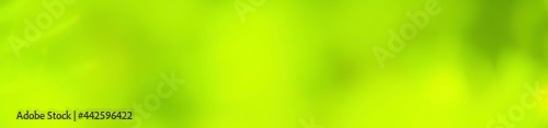 abstract green background