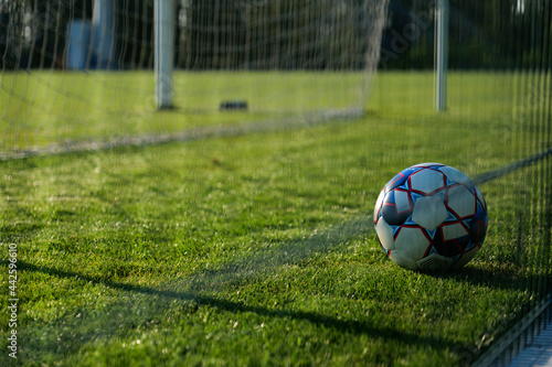soccer ball in the net horizontal shot	
