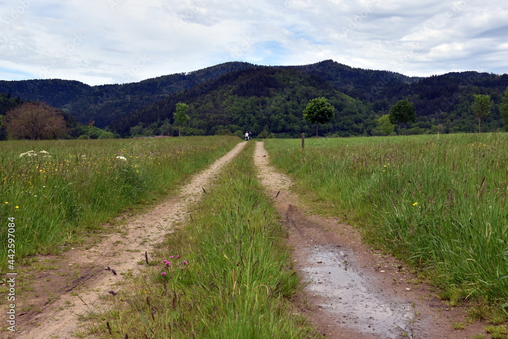 Fußweg im Dreisamtal bei Freiburg