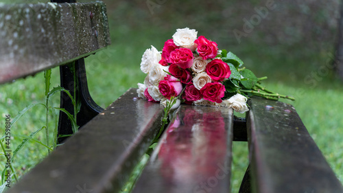 Bouquet of roses, white and pink, abandoned on a wooden bench, in the middle of a park, on a rainy day