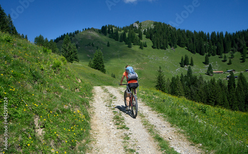 Frau auf Mountain Bike Tour zum Fockenstein zwischen Tegernsee und Lenggries in den bayrischen Alpen