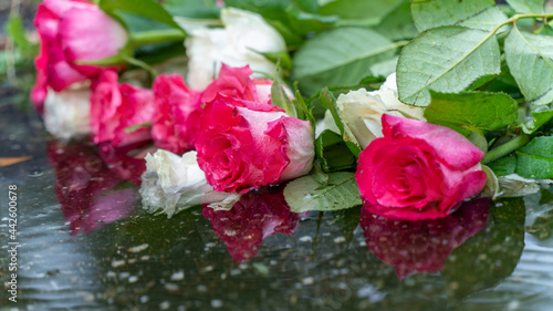 Bouquet of roses, white and pink in a puddle