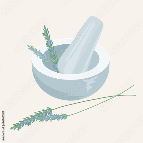 mortar and pestle with herbs (lavender)