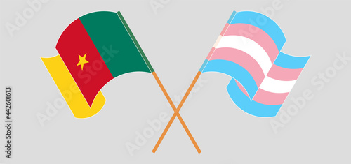 Crossed and waving flags of Cameroon and Transgender Pride