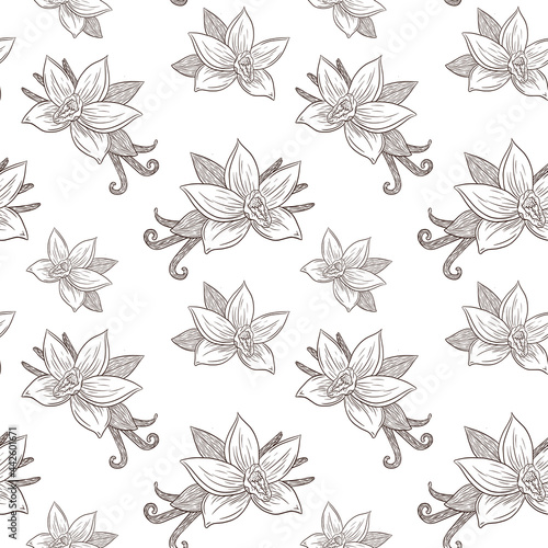 Engraved Vanilla Flowers and Pods Seamless Pattern  Vintage Style Line Art for background, backdrop, wrapping paper, menu, recipe, fabric, textile, web, decor, wallpaper, spa and beauty care products