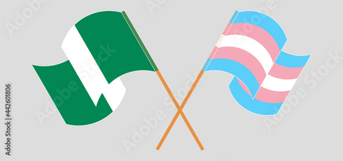 Crossed and waving flags of Nigeria and Transgender Pride