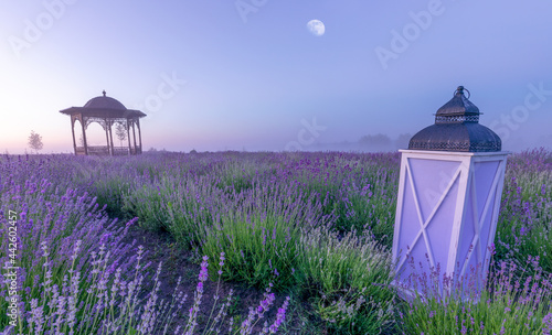 Blue lavender field, with decorative lamps and a gazebo.
