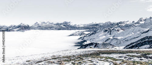 Mountaintop with Fog