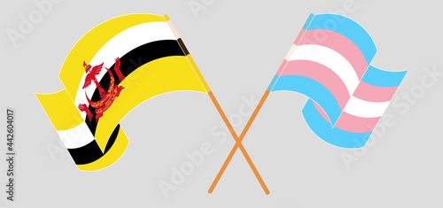 Crossed and waving flags of Brunei and Transgender Pride