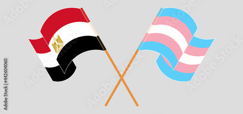 Crossed and waving flags of Egypt and Transgender Pride