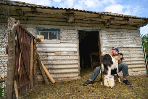 Farmer milking goat near rustic stall on farm 