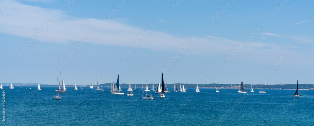 panorama view of many sailboats sailing on a calm blue ocean