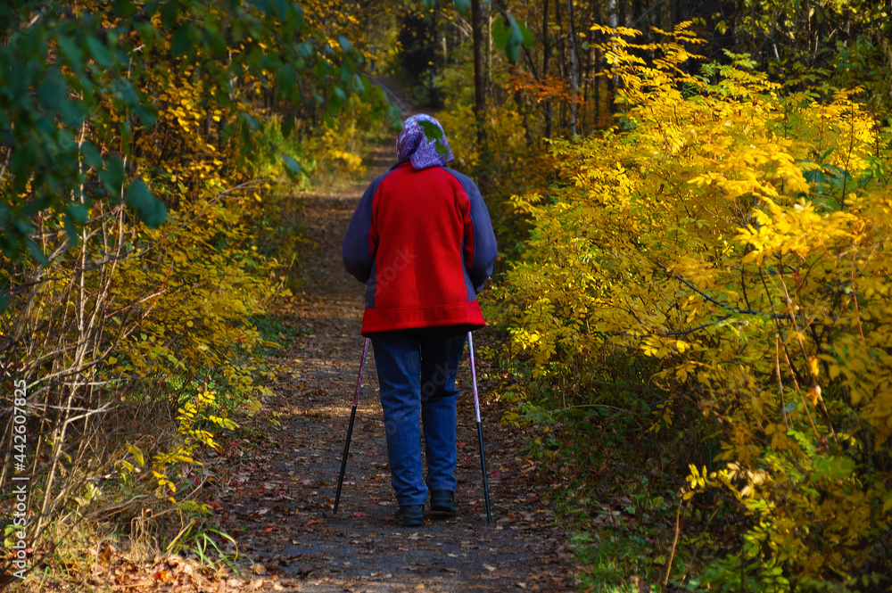 An elderly woman on walk in the park in the autumn afternoon. View from the back. An elderly woman on walk in the park in the autumn afternoon. View from the back.