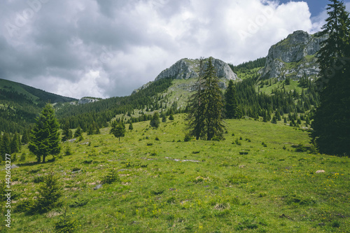 Pietrele Albe - Vladeasa - Amazing rock formation in Romania - Apuseni photo