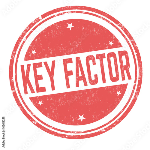 Key factor grunge rubber stamp