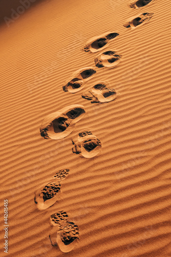 Traces on golden sand in desert photo