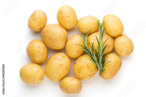New potato and rosemarin isolated on white background close up.
