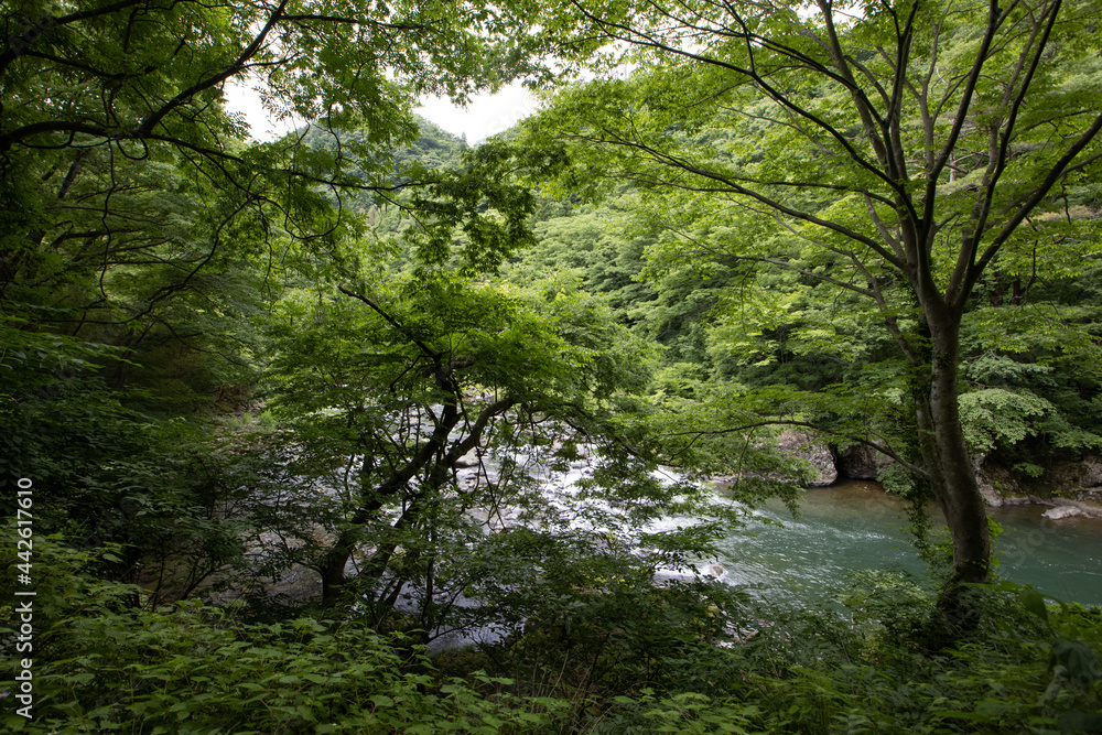Naklejka premium ［宮城県］小原温泉 かつらの湯