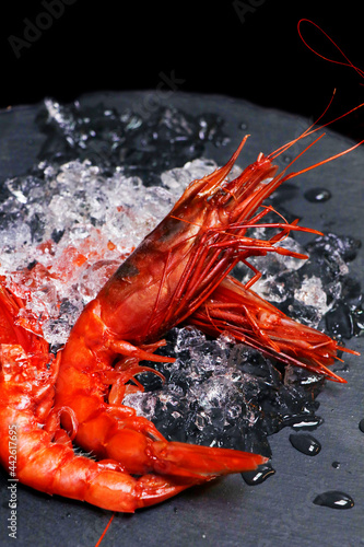 italian red prawns or shrimps on ice known as gambero rosso photo
