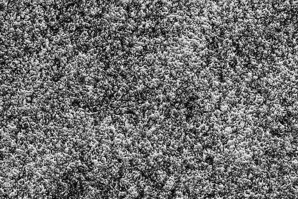 Black and white abstract surface texture closeup Black and white abstract surface texture closeup