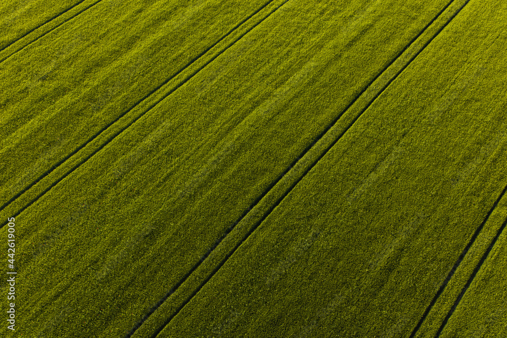 aerial view of the harvest fields aerial view of the harvest fields