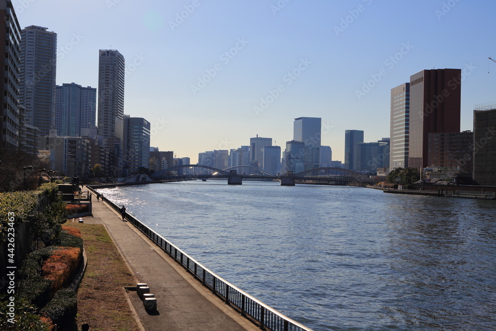 勝鬨橋の見える隅田川河口風景