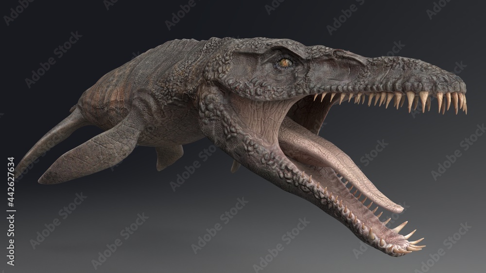 Predator X Pliosaurus Funkei Swimming Animation Background 3d Render Stock イラスト Adobe Stock